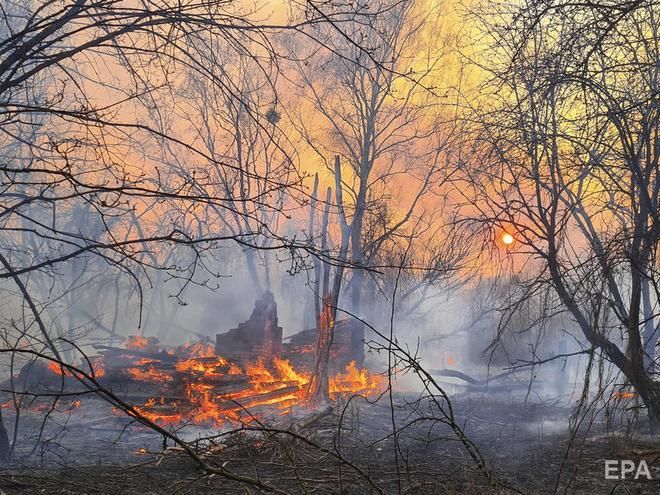 ﻿Пожежу в Чорнобильській зоні ліквідували 
