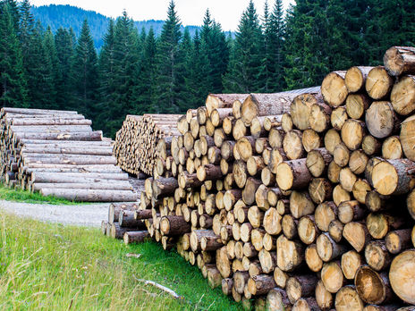 Наводнение в Западной Украине. Прокуратура зарегистрировала производство по факту экоцида из-за незаконной вырубки лесов