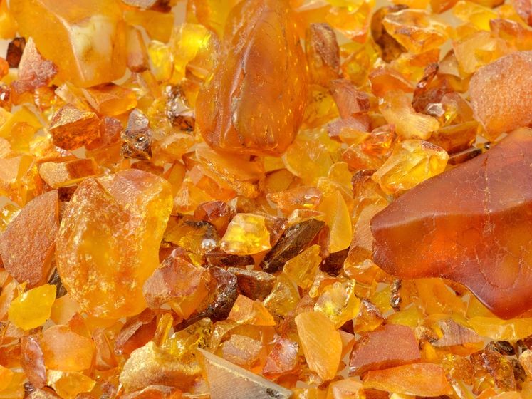 В Житомирской области конфисковали 9,2 тонны незаконно добытого янтаря