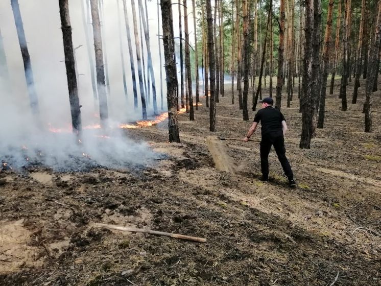 ﻿Лісова пожежа в Луганській області сягнула Сєвєродонецька. Поліція перекрила дороги