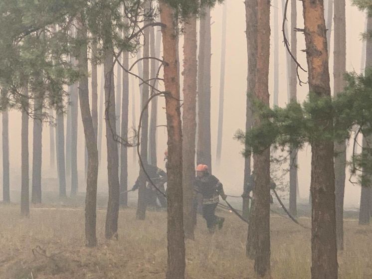 ﻿Обстріл із боку бойовиків міг стати причиною лісової пожежі в Луганській області, заявили в Нацполіції