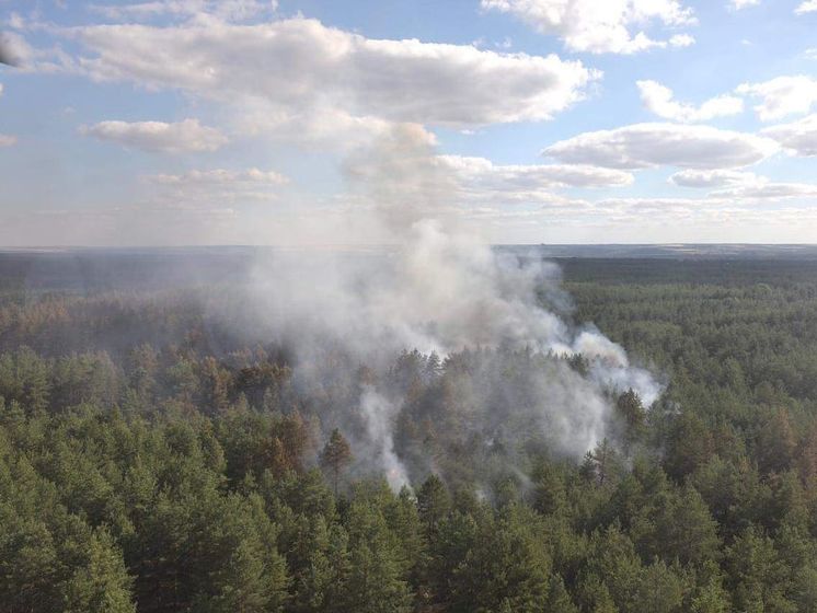 Лесной пожар в Луганской области локализован – ГСЧС
