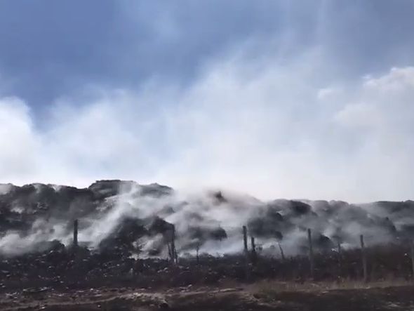 Через лісові пожежі в Сєвєродонецьку спалахнуло міське сміттєзвалище 
