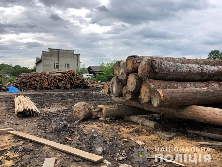 В Ивано-Франковской области провели 14 обысков из-за незаконной вырубки леса