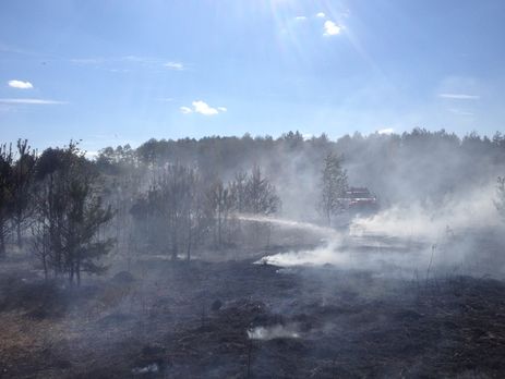ГСЧС: С начала года в Украине выгорело почти 17 тысяч гектаров экосистем