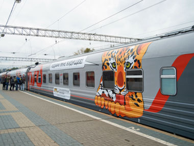 Минтранс РФ предлагает указывать в билетах на поезд информацию о гражданстве пассажира