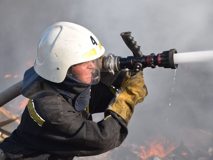 Лесной пожар в Луганской области ликвидирован – ГСЧС Украины