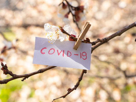 В Украине несколько снизился суточный прирост новых случаев COVID-19