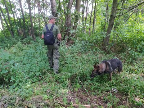 В Винницкой области пропавшую три дня назад девушку нашли в лисьей норе