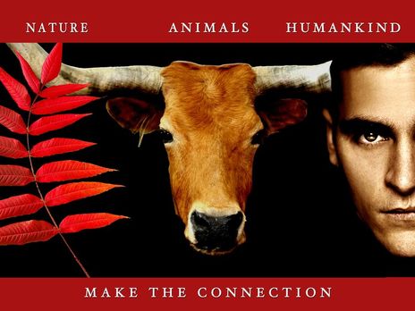 Фильм "Земляне" рассказывает о проблеме эксплуатации животных людьми