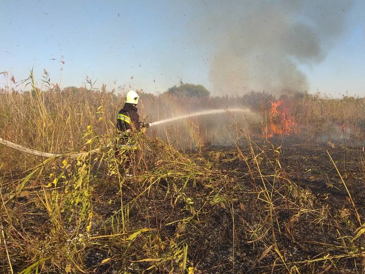 В Луганской области произошло возгорание травяного настила – ГСЧС