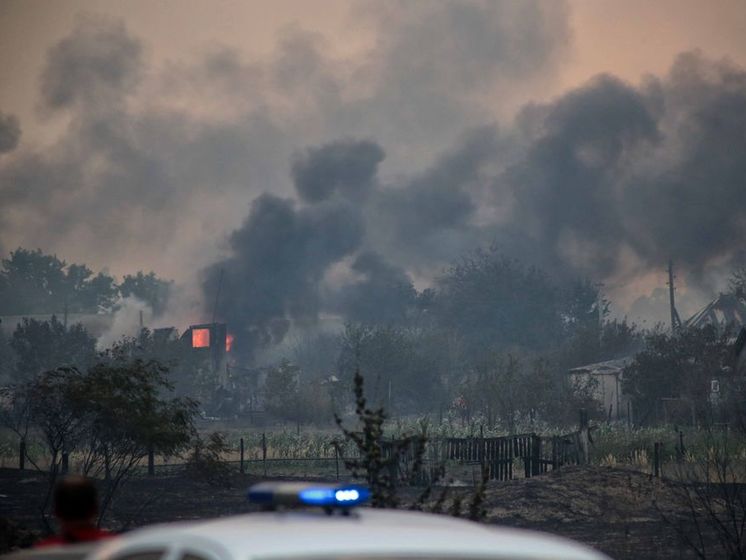 Пожары в Луганской области нанесли ущерб на 4–5 млрд грн – Гослесагентство