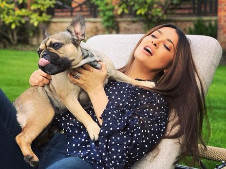 Хайек показала, как спасла собаку от жары