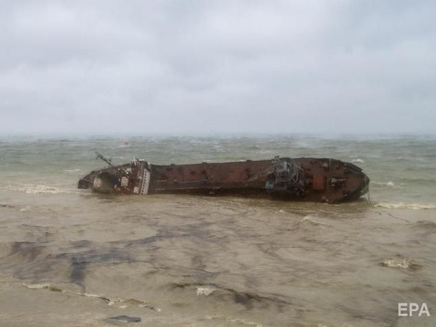 На пляже Одессы возле затонувшего танкера Delfi нашли мертвого дельфина