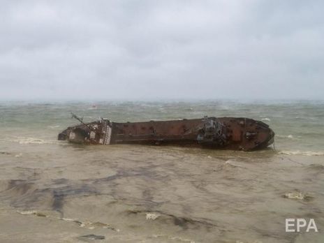 На пляже Одессы возле затонувшего танкера Delfi нашли мертвого дельфина