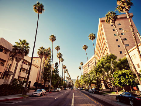 Власти Лос-Анджелеса решили отключить электричество и воду в домах, где тайно устраивают вечеринки