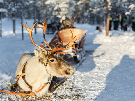 Аборигены российского Севера попросили Маска не покупать продукцию 