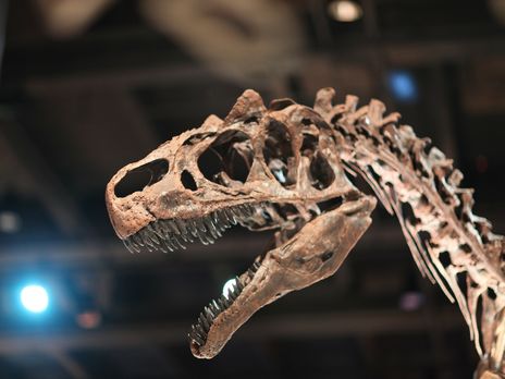 Британские ученые обнаружили новый вид динозавров