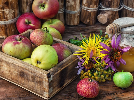Яблочный Спас. Традиции и приметы праздника