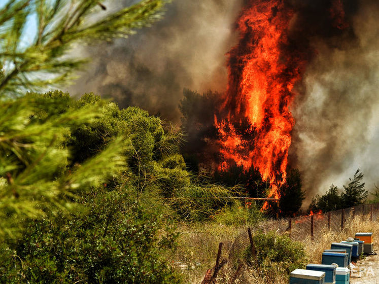 В Греции эвакуировали жителей пяти деревень из-за крупного лесного пожара