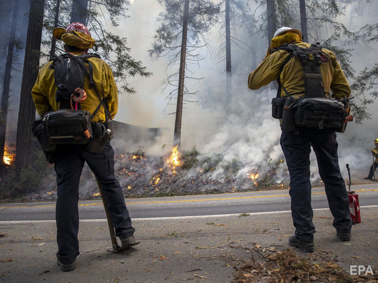 У Каліфорнії згоріло понад пів мільйона гектарів лісу
