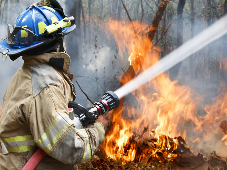 У ДСНС попередили про надзвичайний рівень пожежної небезпеки в більшості областей України