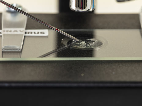 У Миколаївській області ввели додаткові карантинні обмеження