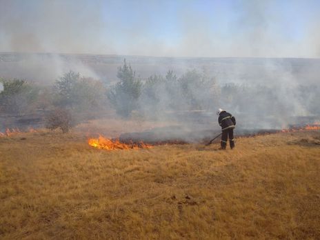 Біля Станиці Луганської виникла пожежа на замінованій території, постраждав рятувальник