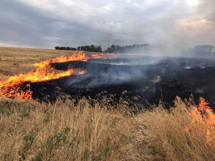 Пожар на заминированной территории Донбасса потушили