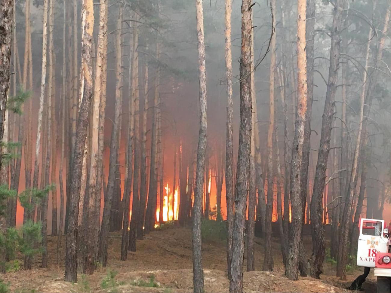 В Харьковской области горит около 10 га леса. ГСЧС задействовала для  тушения авиацию