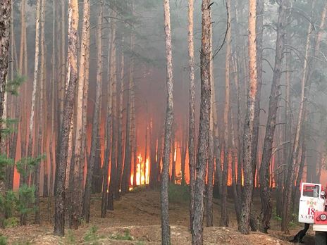 В Харьковской области горит около 10 га леса. ГСЧС задействовала для тушения авиацию