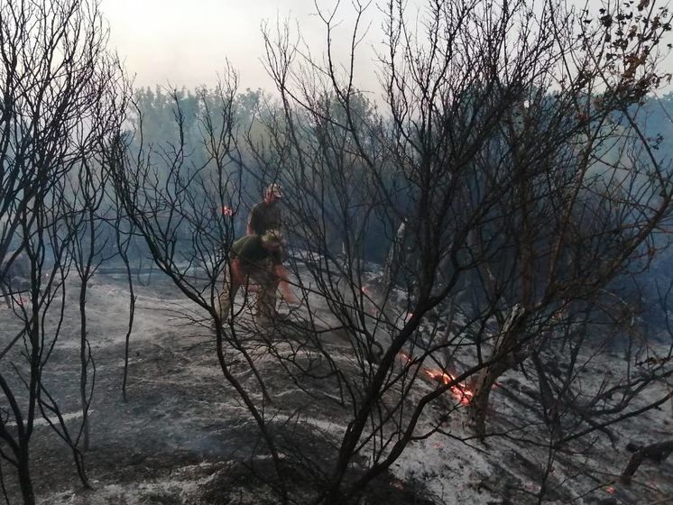 В штабе ООС считают, что к пожарам на Донбассе причастны боевики