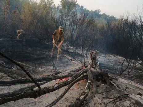 На Донбасі вперше за шість днів не фіксували порушення перемир'я