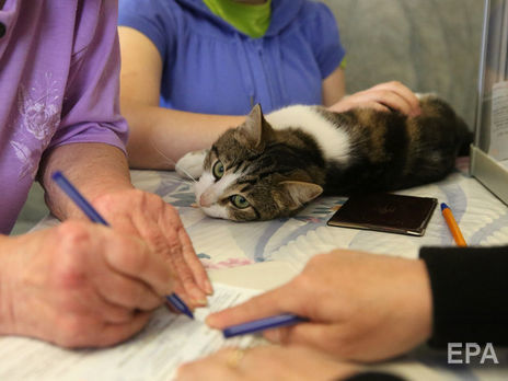 Открытые списки, второй тур, гендерные квоты. Как будут проходить местные выборы 2020 по новому законодательству. Главное