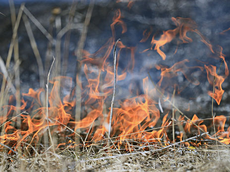 Украинский военный получил ранение из-за подрыва неизвестного устройства во время тушения пожара в зоне ООС