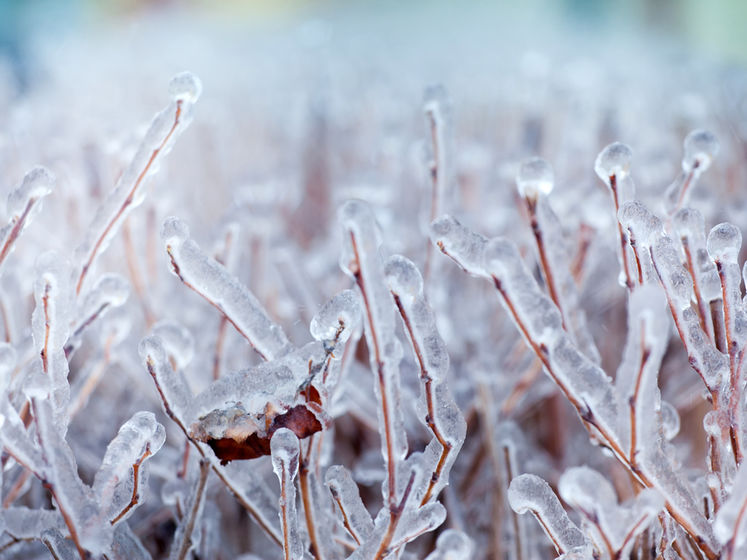 Гідрометцентр попередив про заморозки в Україні