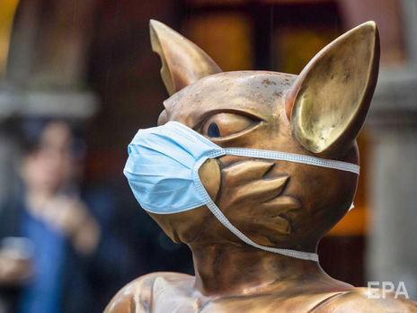 За последние сутки в мире от коронавируса умерло более 5,5 тыс. человек