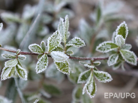 Госслужба по ЧС: 28–29 сентября в нескольких областях ожидаются заморозки