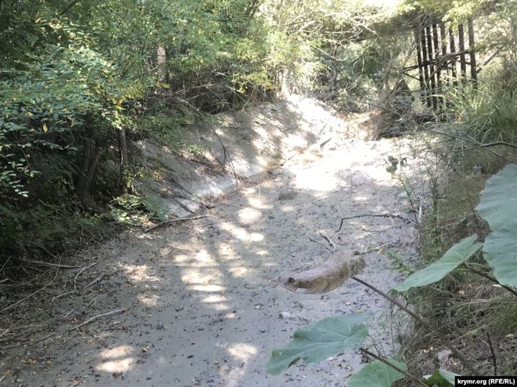 "Происходит что-то страшное". В Крыму пересохла река, питавшая крупное водохранилище