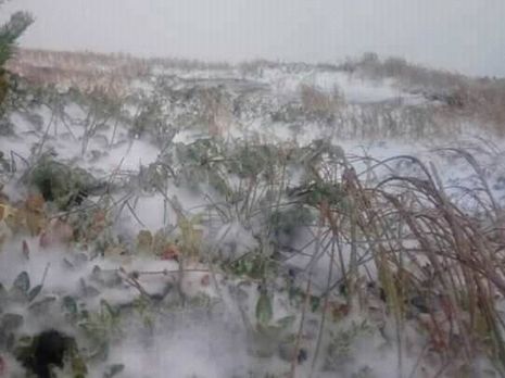 У Карпатах на горі Піп Іван 27 вересня випав сніг