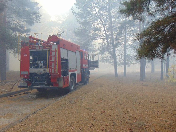 В Луганской области возобновились лесные пожары. Тушение огня осложняет сильный ветер
