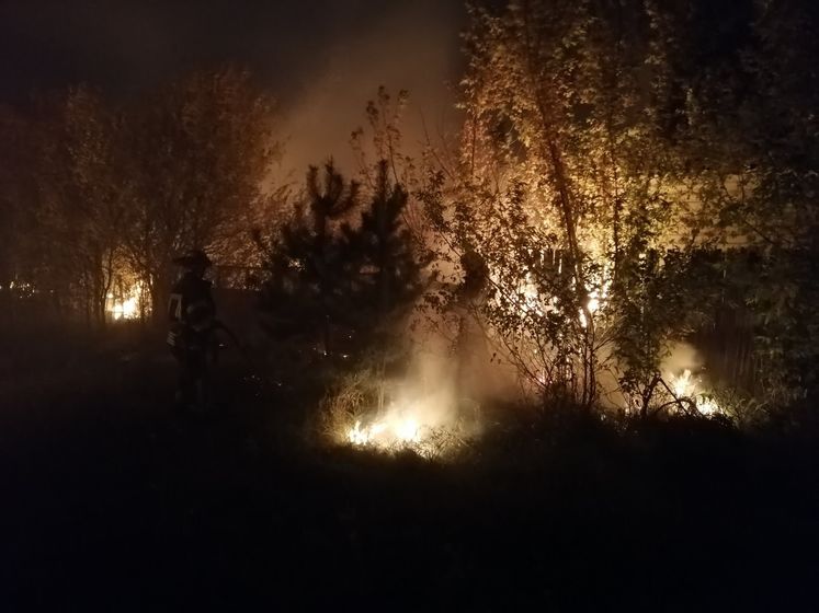 Троє людей загинули в лісових пожежах у Луганській області &ndash; Венедіктова