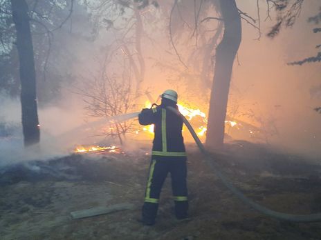 30 вересня в Луганській області поновилися лісові пожежі