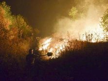 ЄС розширив санкції проти РФ, у Луганській області вирують лісові пожежі. Головне за день