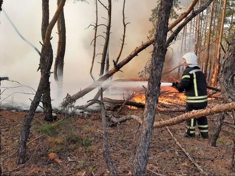 Пожежники і далі борються з вогнем у районі села Смолянинове
