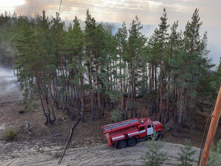 Пожежі в Луганській області. Рятувальники загасили сім осередків займання