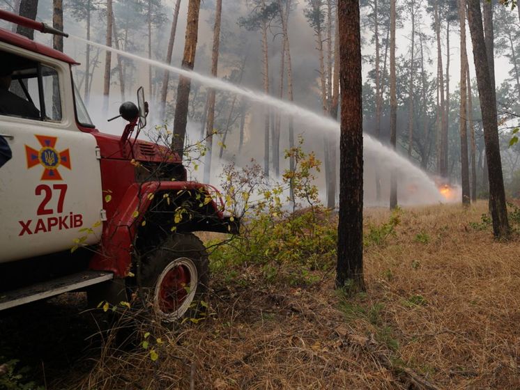 Найбільший осередок пожежі в Луганській області ліквідовано &ndash; ДСНС