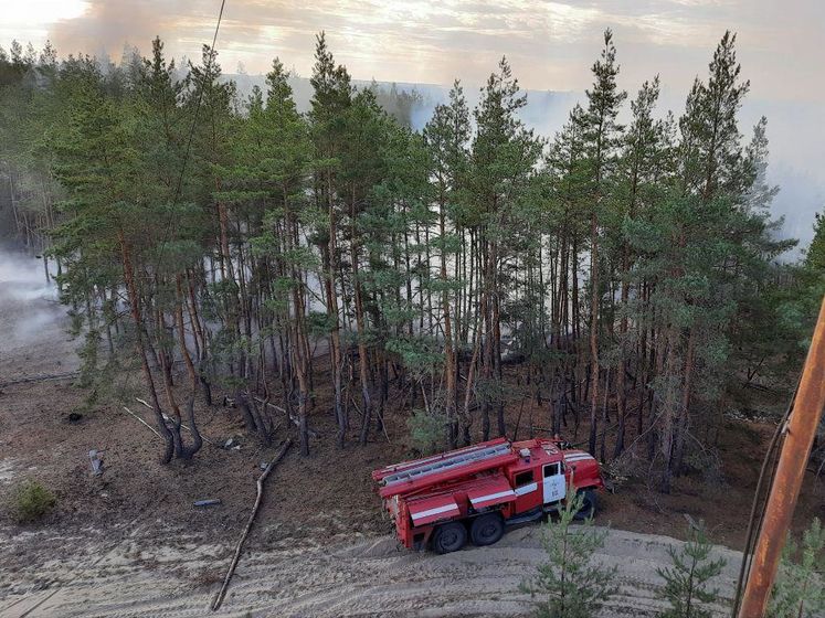 Спасатели ликвидировали все лесные пожары в Луганской области