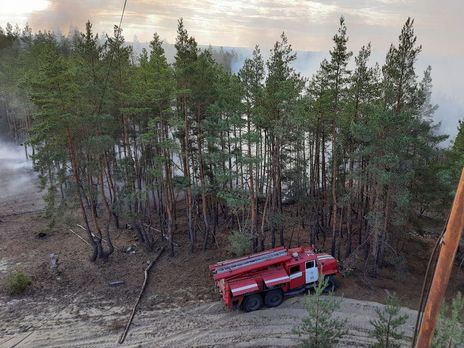 Массовые возгорания лесной подстилки и травы в Луганской области начались 30 сентября