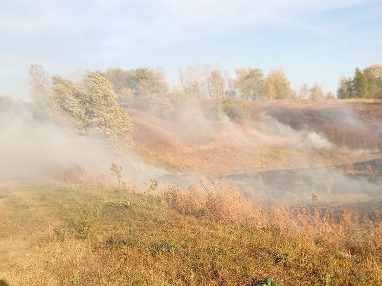 Украинские пограничники дважды тушили пожары, перебросившиеся с российской территории